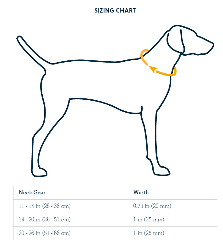 Ruffwear Crag Reflective Dog Collar Sunset PETSTER