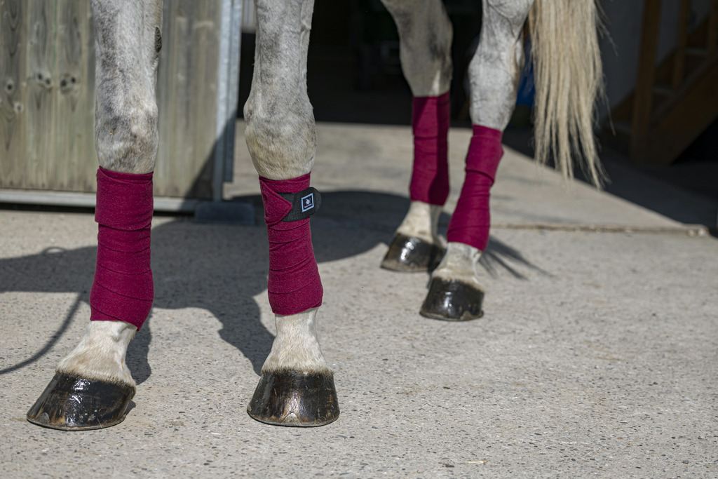 RIDING WORLD 'Eco' Polo Bandages Burgundy - Full size - 2