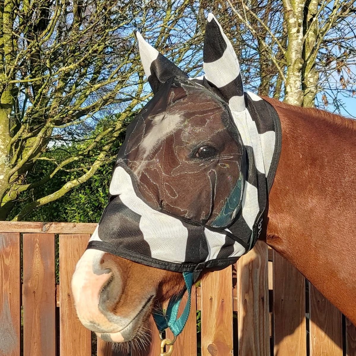 Bucas Buzz-Off Zebra Deluxe Fly Hood- With Ears, S
