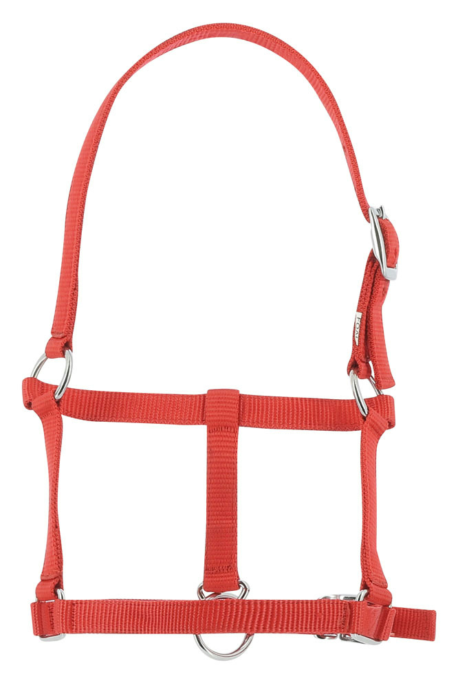 RIDING WORLD Fölgrimma Röd