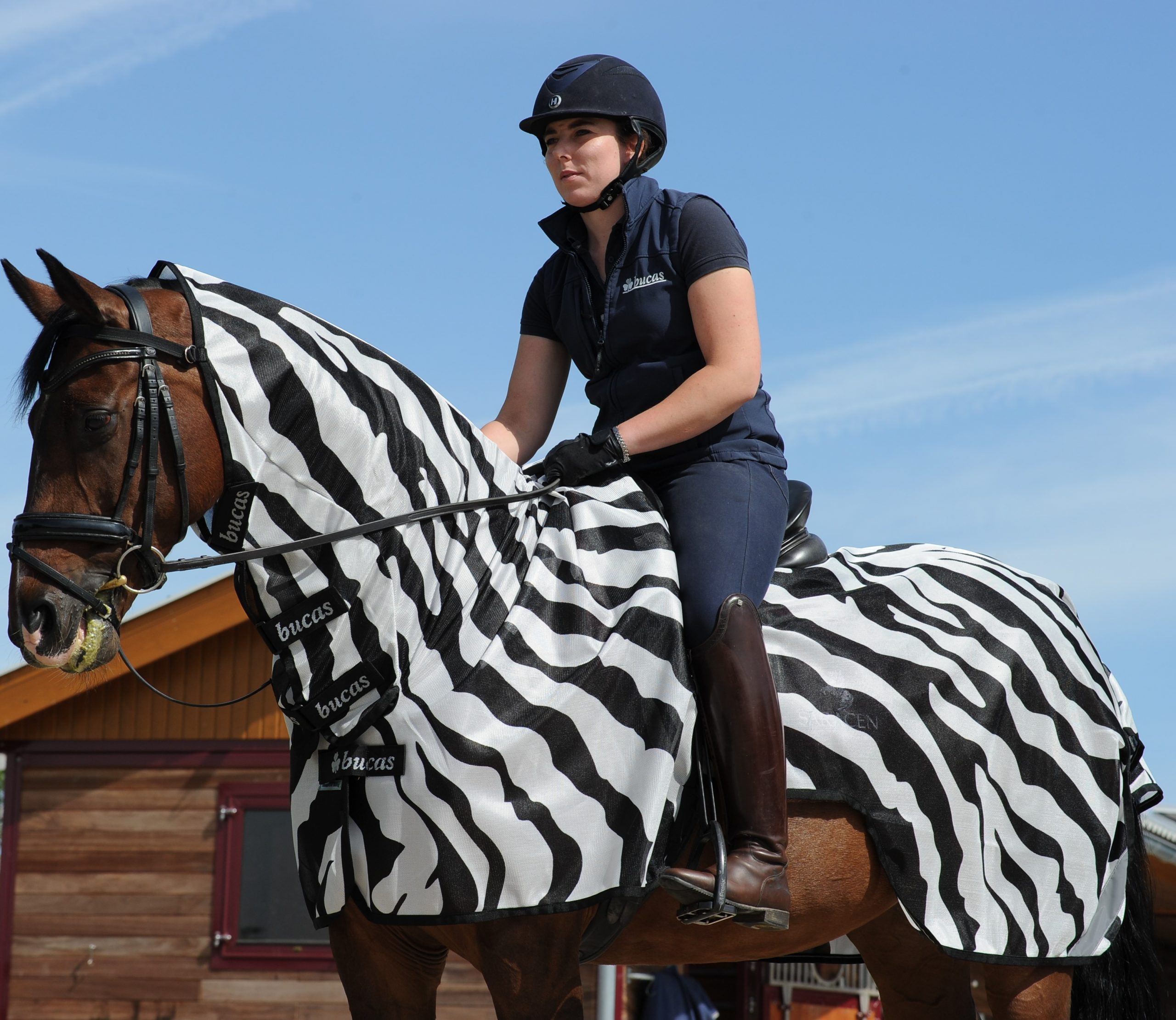 Bucas Buzz-Off Ratsastusloimi Zebra, 155