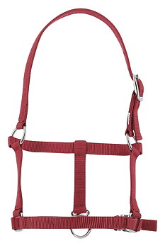 RIDING WORLD Varsariimu Burgundy