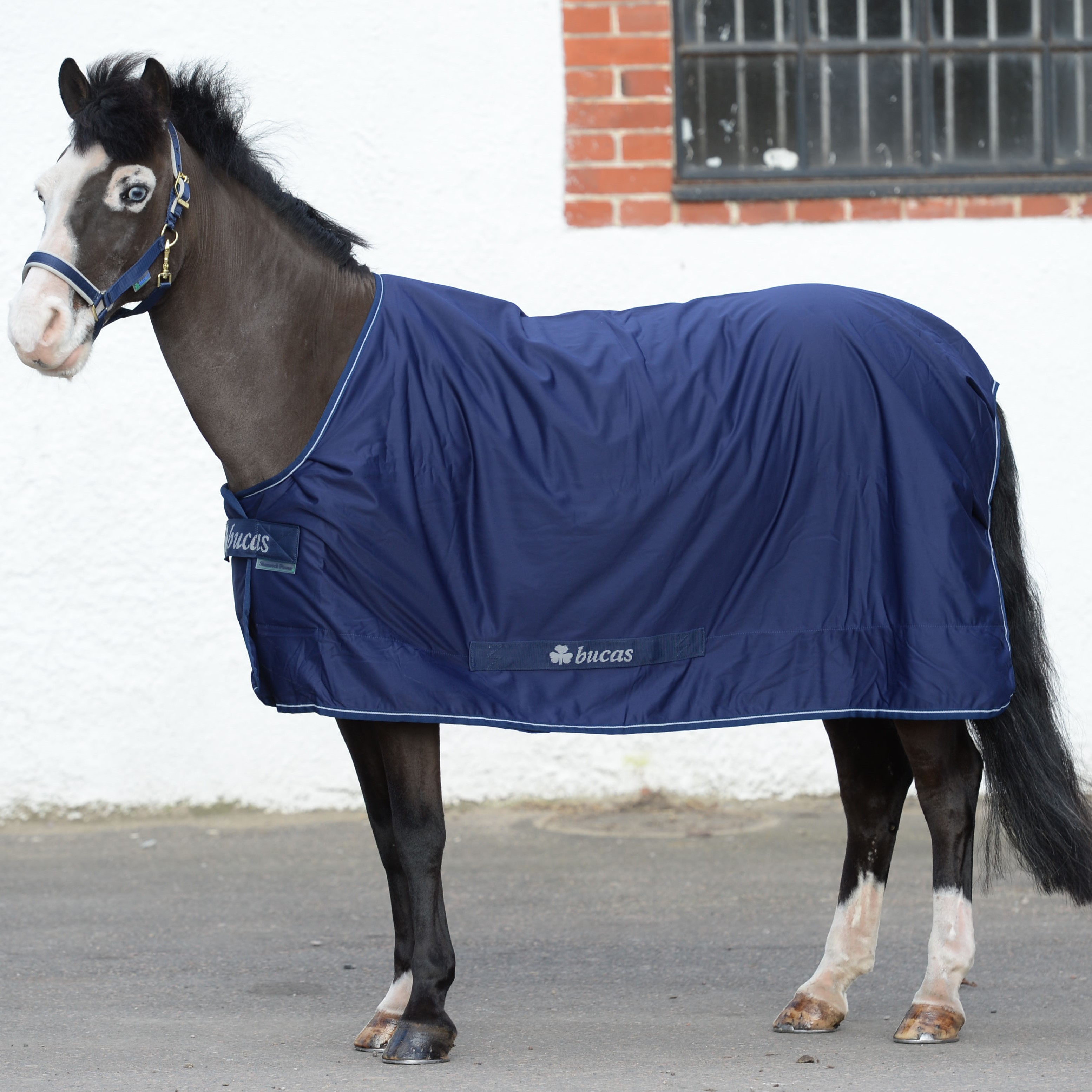 Funktionaalinen loimi Bucas Shamrock Power – Navy/silver, 95 - 3