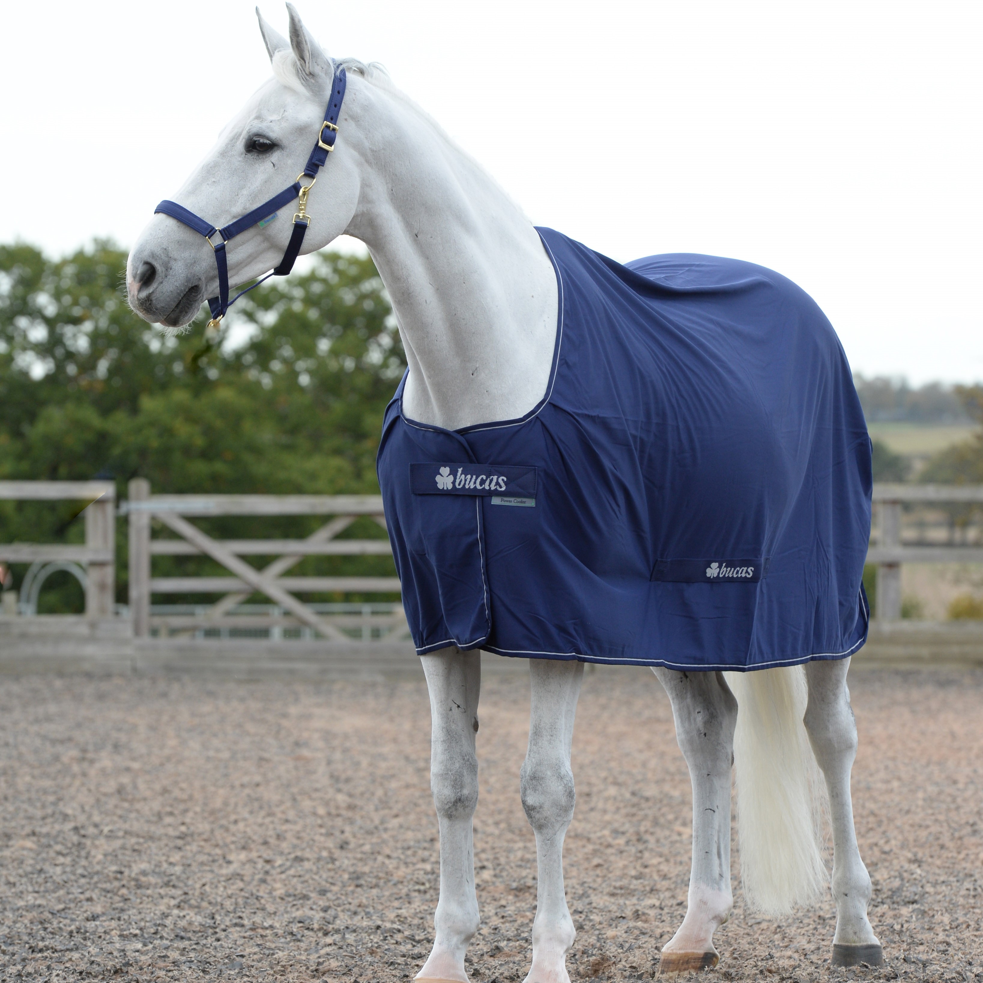 Funktionaalinen loimi Bucas Shamrock Power – Navy/silver, 95 - 2