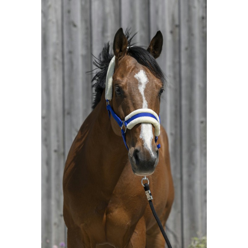 RIDING WORLD Grimma i Syntetiskt Fårskinn Royal Blue (Shetland)