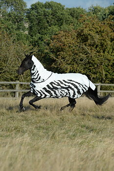 Bucas Buzz-Off Rain Fly Rug Detachable neck - Zebra, 105