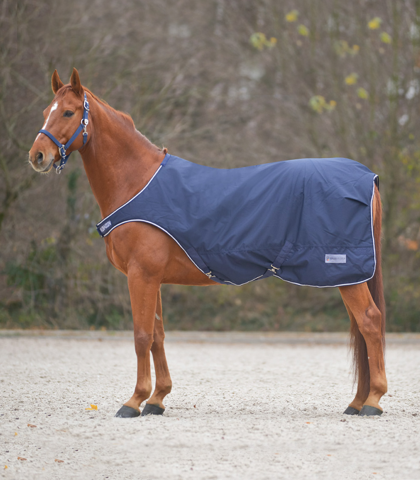 Waldhausen COMFORT Horsewalker Rug, 100 g midnight blue