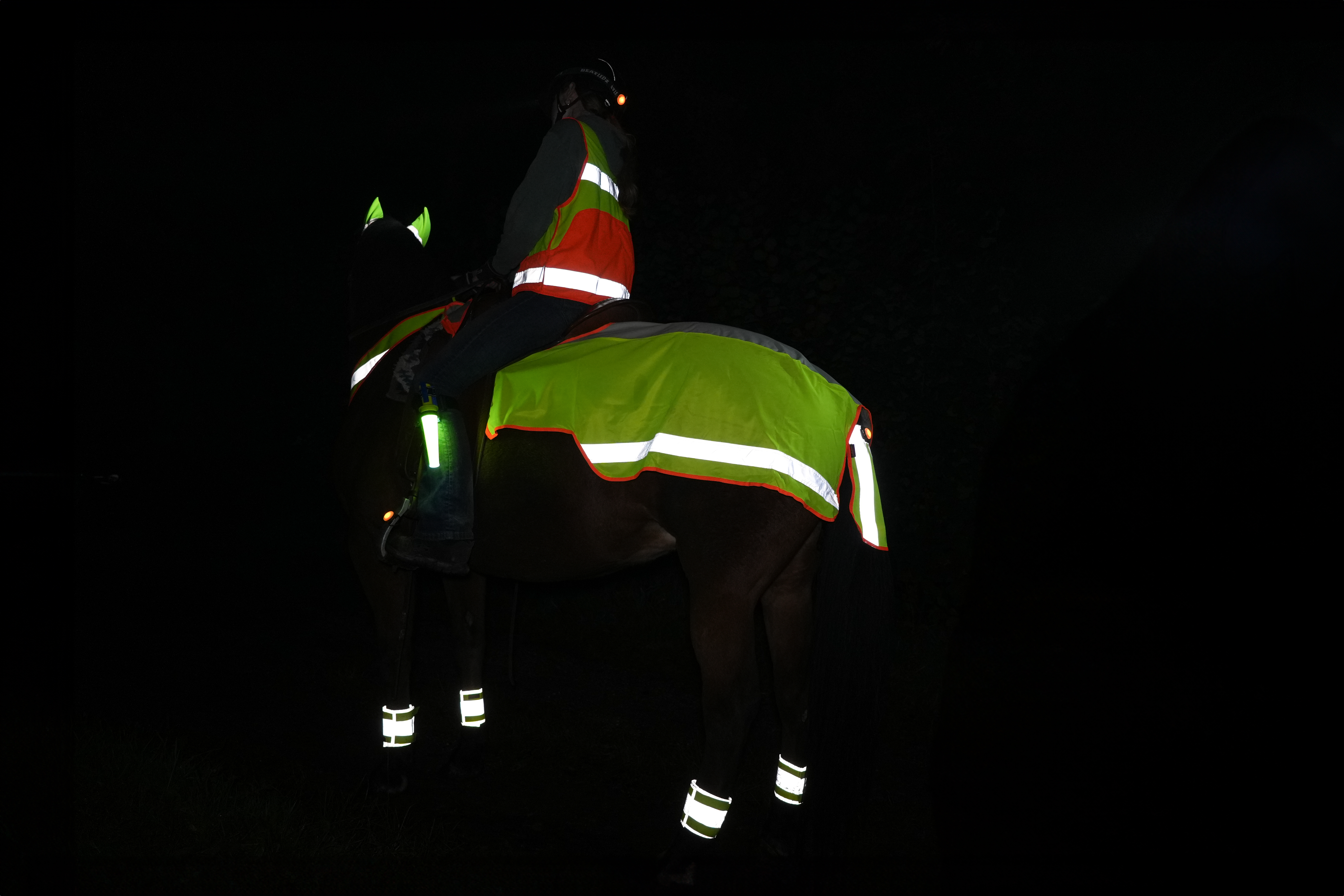 Colorado Tail Reflector Without Light - Reflective 