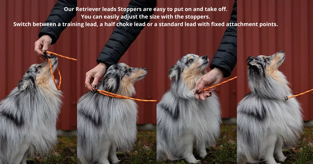 Paw of Sweden Retriever Leash Stoppers Trial Customized 0-160 cm - Black - Flexible 