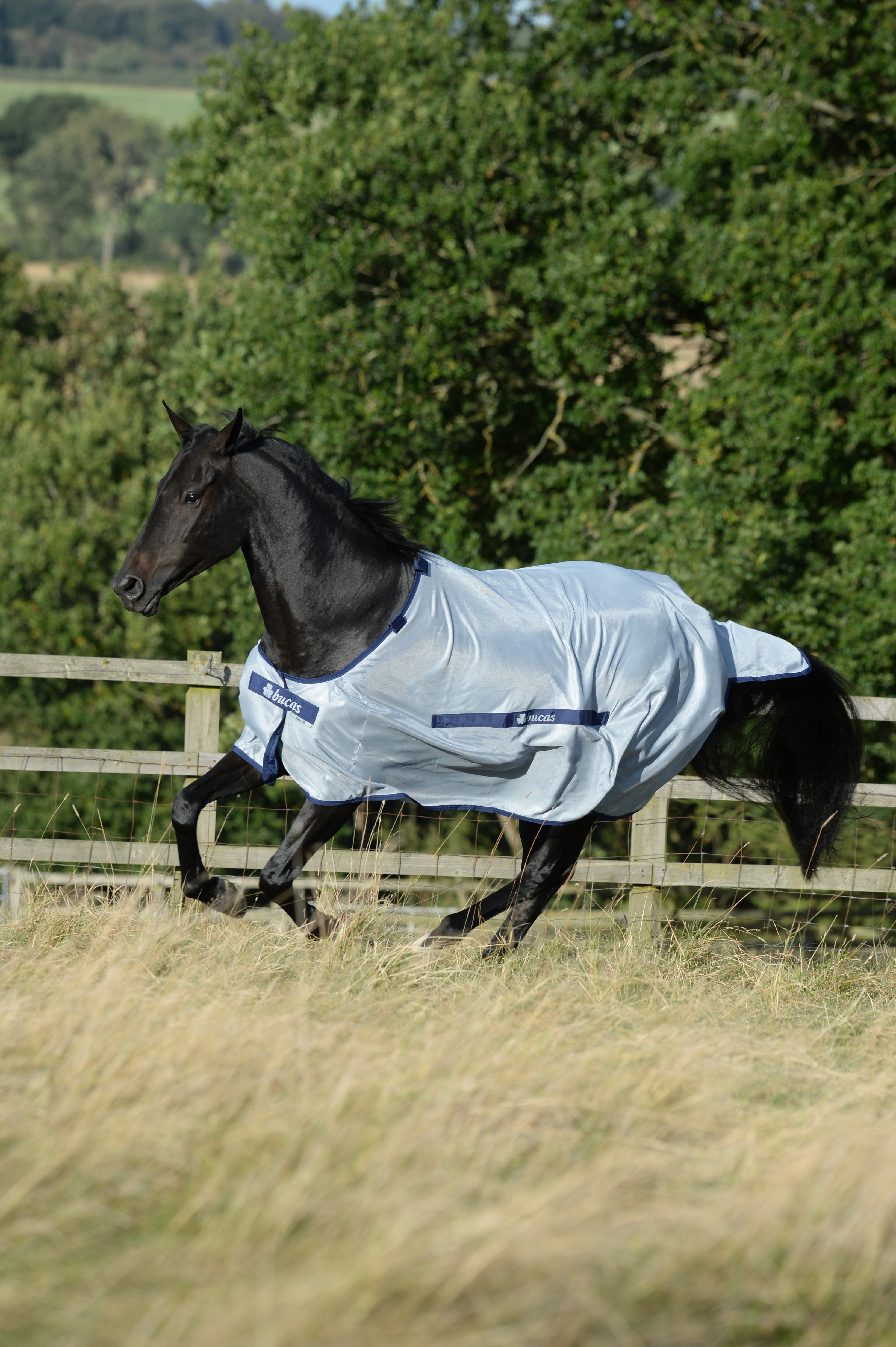 Bucas Buzz-Off detachable Neck Fly Sheet Blue, 135 - 6