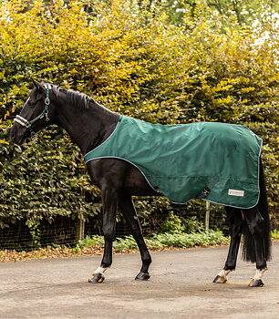 Waldhausen COMFORT Horsewalker Rug, 100 g fir green