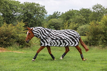 Bucas Buzz-Off Zebra Fly Sheet with Detachable Neck, 145