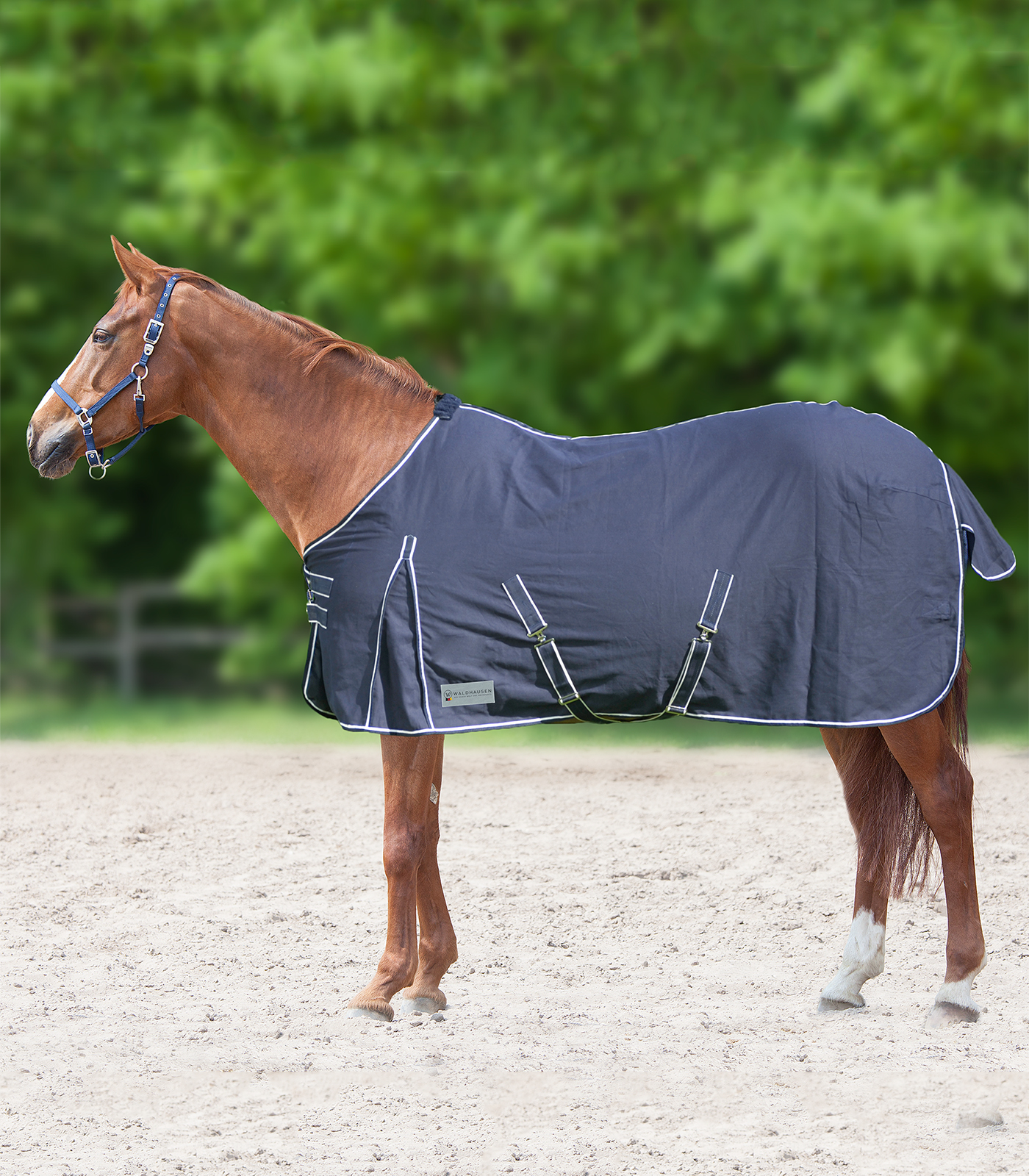 Waldhausen COMFORT Stable and Summer Rug midnight blue