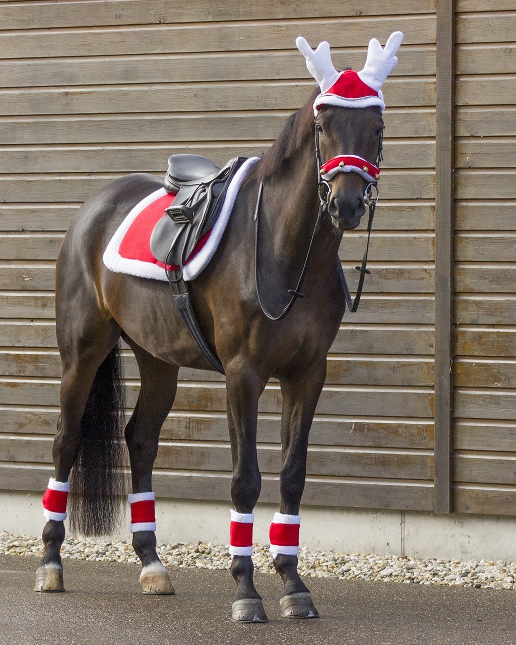 QHP Santa Hat with Reindeer Horns for 