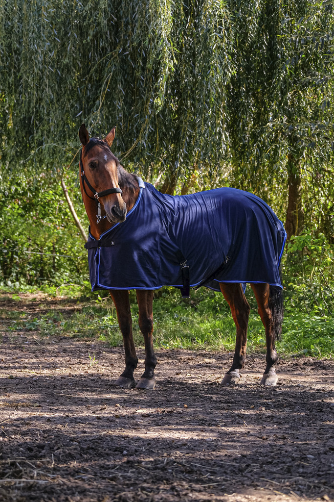 RIDING WORLD Fine Mesh Hästtäcke Navy (5'9 - 125 cm)