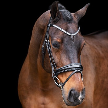 Imperial Riding Suitset Olympia Black-Silver, Cob