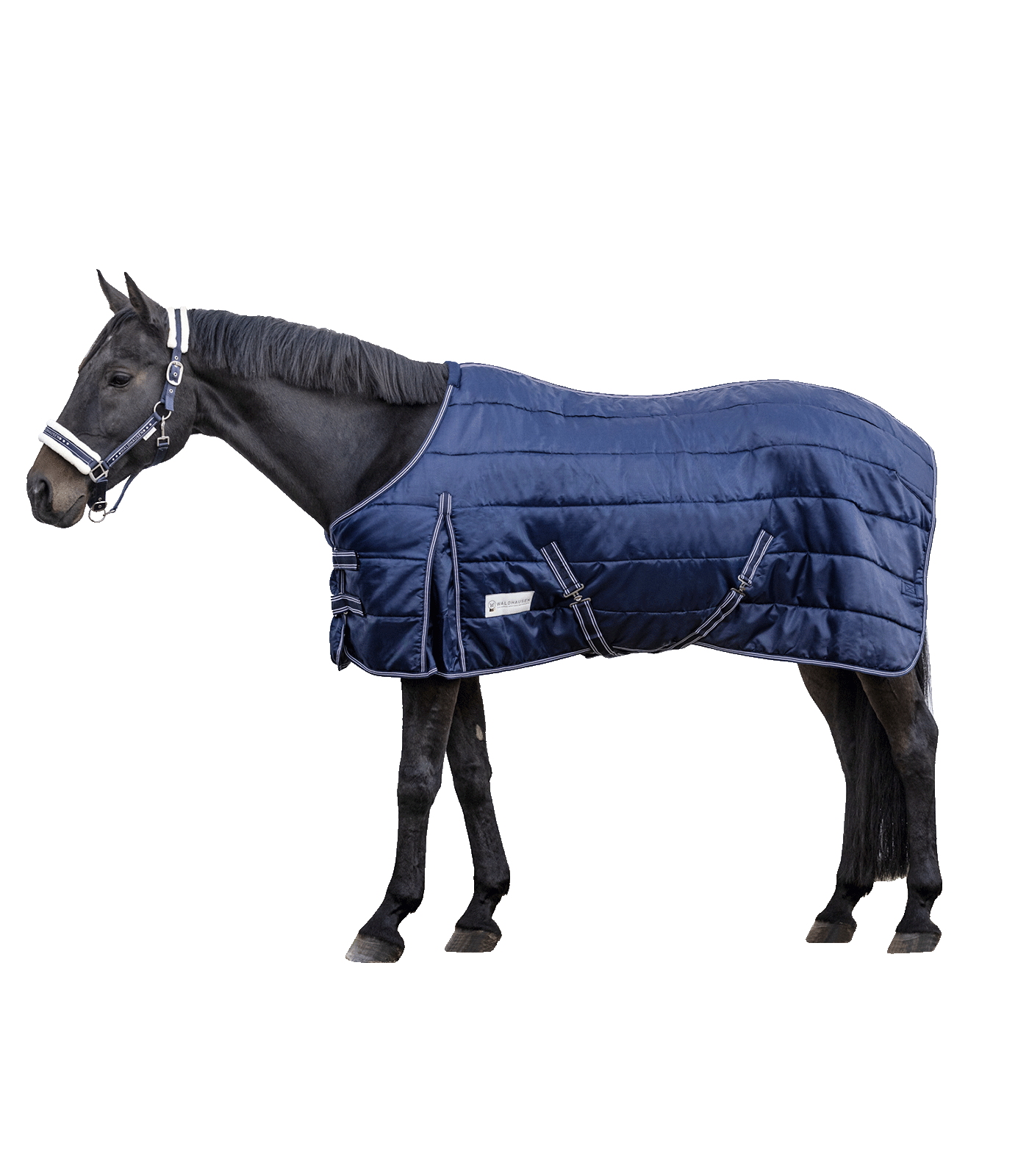 Waldhausen ECONOMIC Stable Rug, 200 g midnight blue