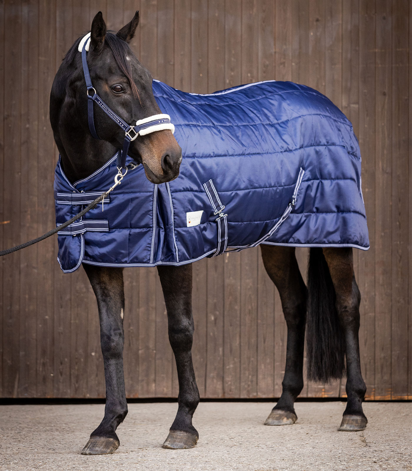 Waldhausen ECONOMIC Stable Rug, 200 g midnight blue - 2