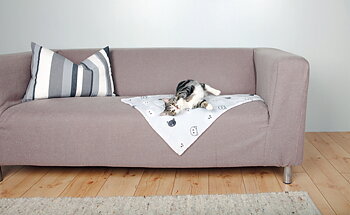 Soft blanket in plush 70 x 50 cm