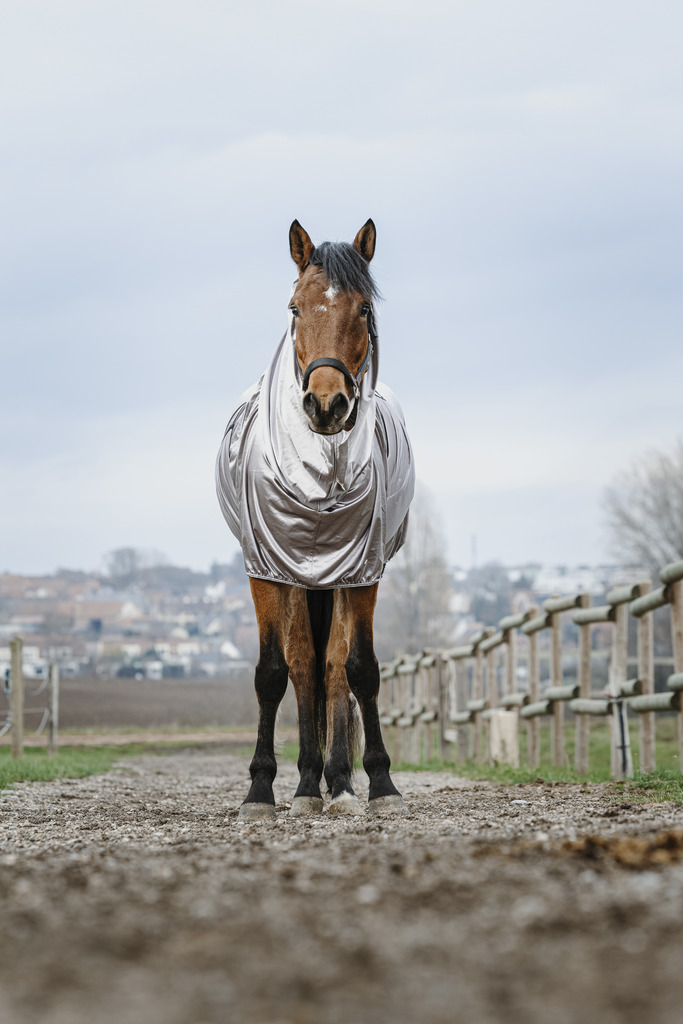 RIDING WORLD Anti-eczema Hästtäcke Grå - 6