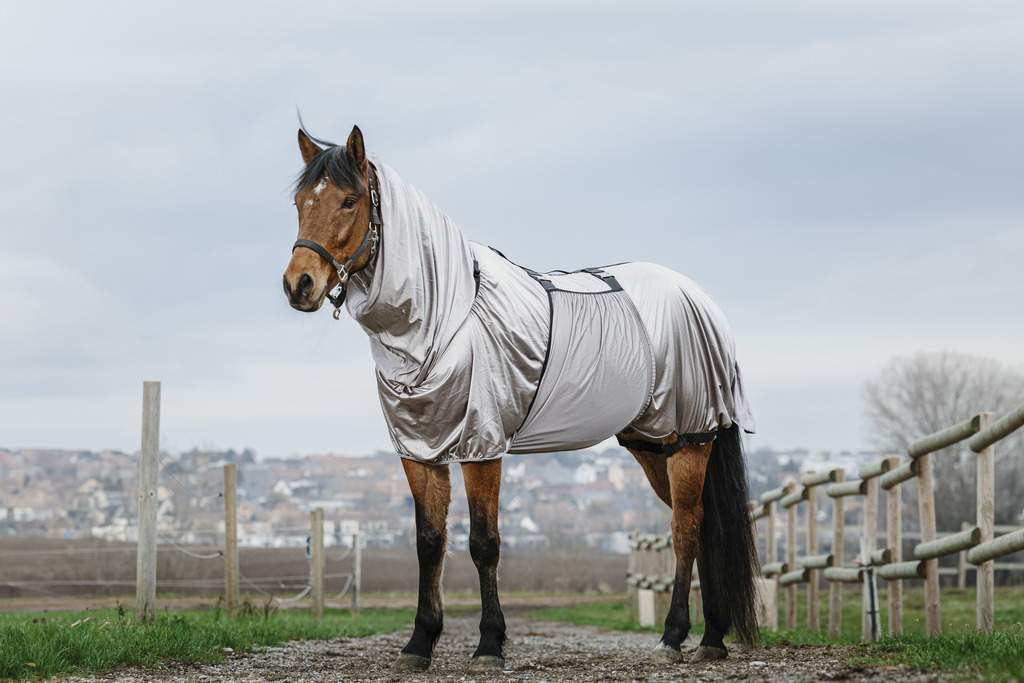 RIDING WORLD Anti-eczema Hästtäcke Grå - 2