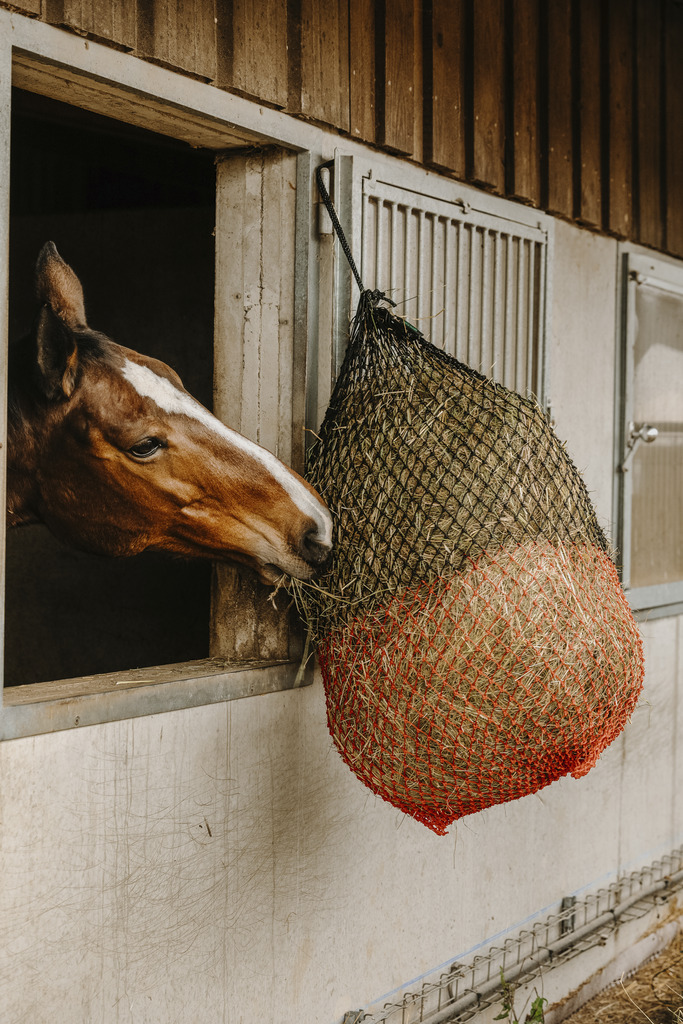 HIPPOTONIC Finmaskigt Hönät Svart/Röd