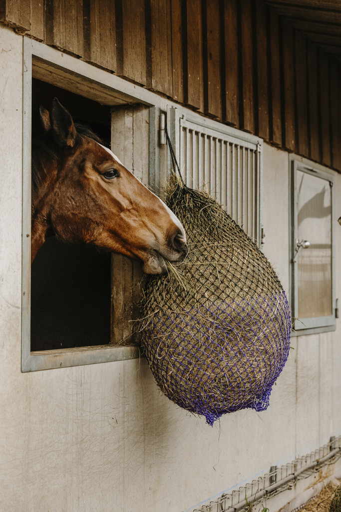 HIPPOTONIC Finmaskigt Hönät Svart/Lila