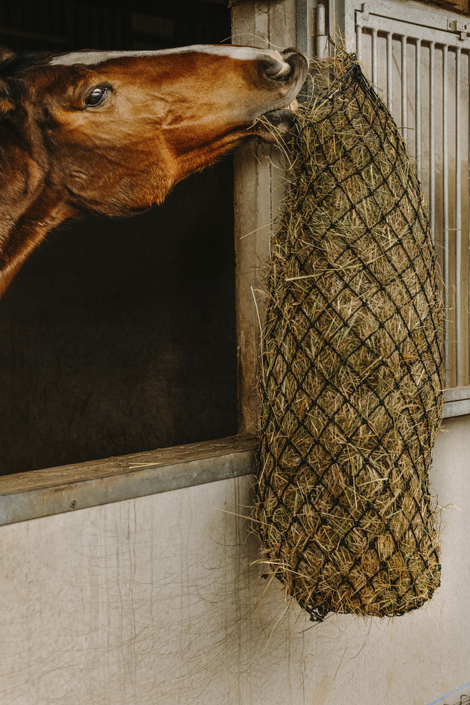 HIPPOTONIC Long Hay Net Black - 2