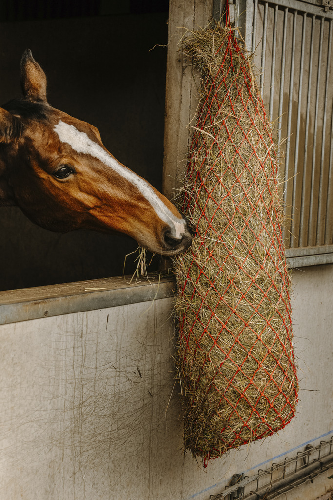 HIPPOTONIC Long Hay Net Red - 2