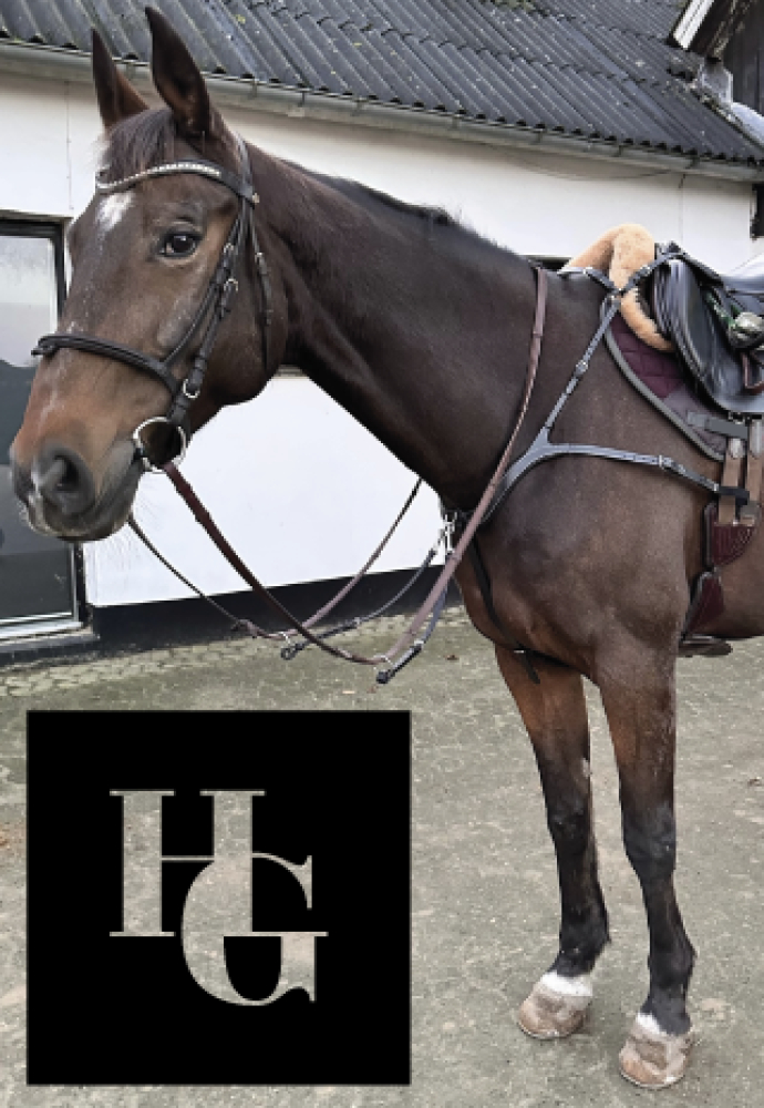 Horse Guard Luke breastplate Brown