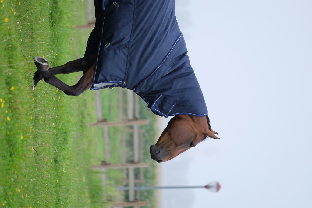 EQUITHEME 'TYREX 1680D' Turnout Rug Navy 0 g - 2