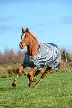 Bucas Smartex Turnout Rain Rug 0 g -Iron Gate