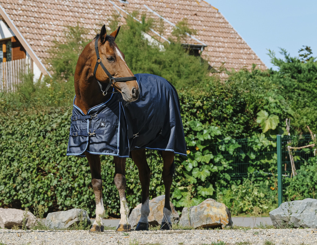 RIDING WORLD 'ECO' 600D Hästtäcke Navy 50 g (6'3 - 140 cm)