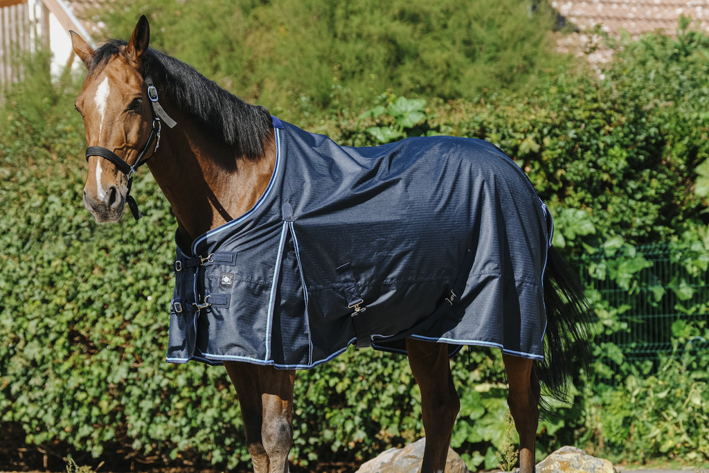 RIDING WORLD 'ECO' 600D Hästtäcke Navy 50 g - 2