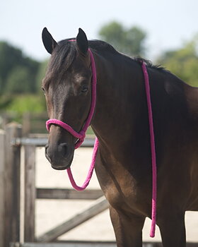 Talutusriimu QHP – Fuksia