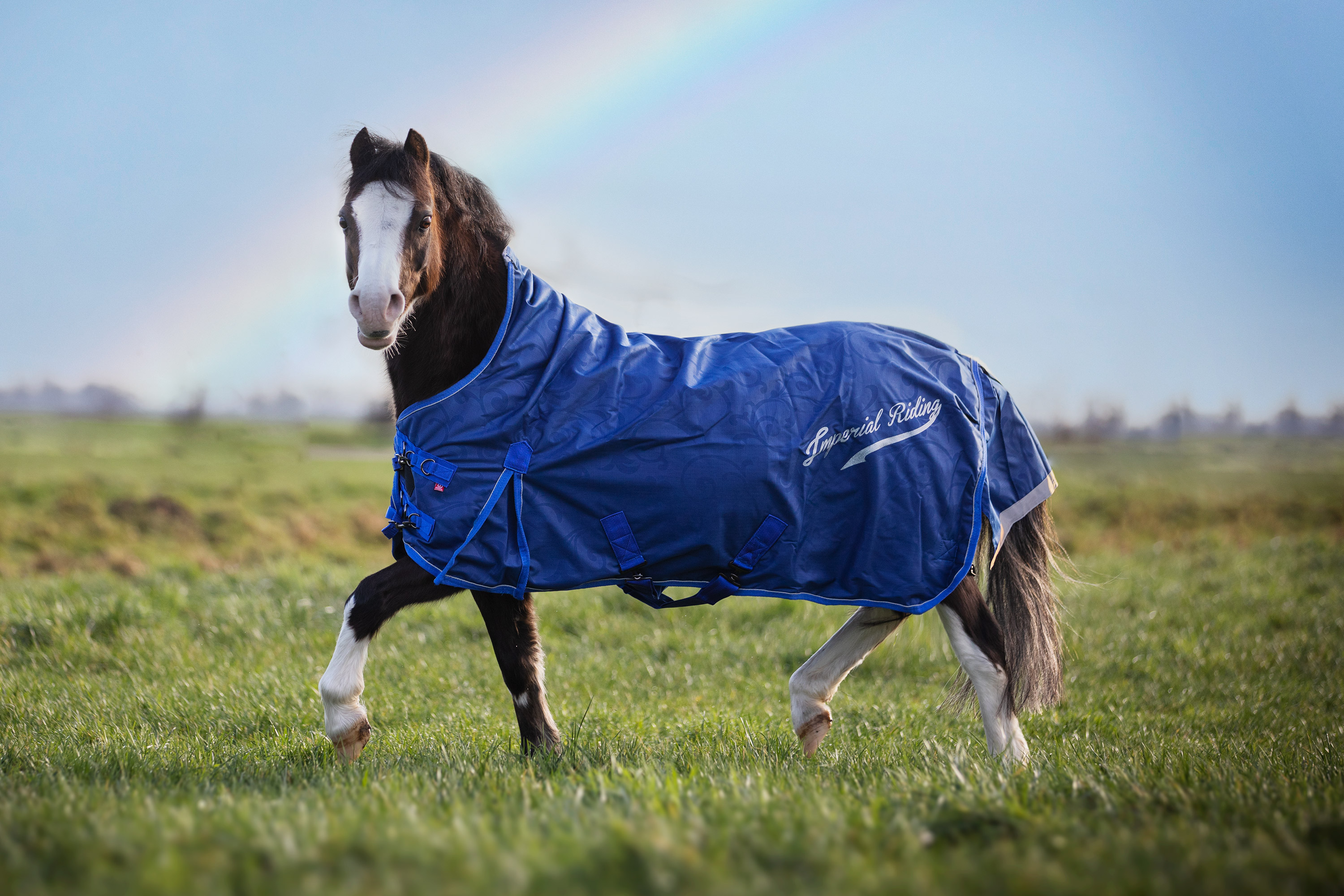 Imperial Riding Utetäcke Super-dry 200gr Navy, 145 - 8