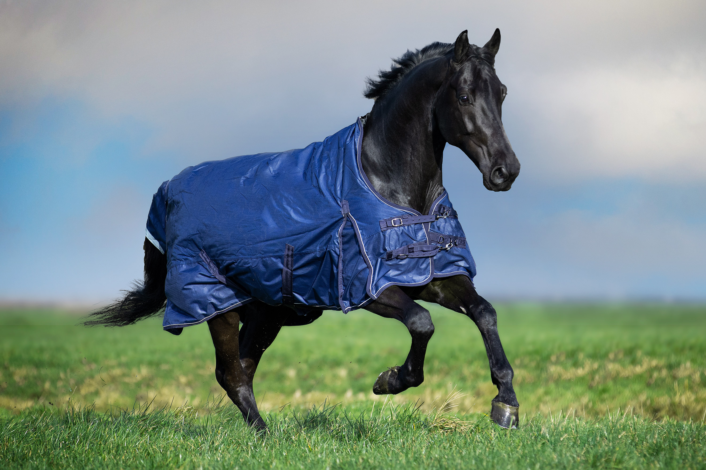 Imperial Riding Utetäcke Super-dry 200gr Navy, 145 - 4