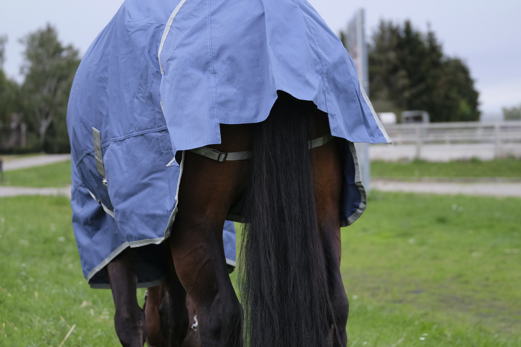 EQUITHEME 'TYREX 600D' Recycled Turnout Loimi Navy 0 g - 3
