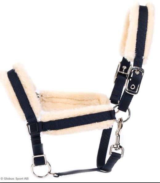 Globus Sport Foal Halter
