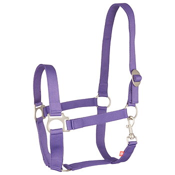 Imperial Riding Grimma Economic Royal purple, Ponny