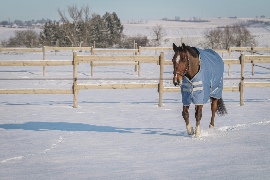 EQUITHEME 'TYREX 600D' Recycled Turnout Hästtäcke Navy 300 g (5'9 - 125 cm)