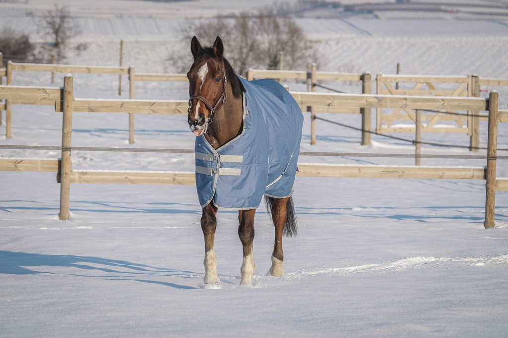 EQUITHEME 'TYREX 600D' Recycled Turnout Rug Navy 300 g - 2