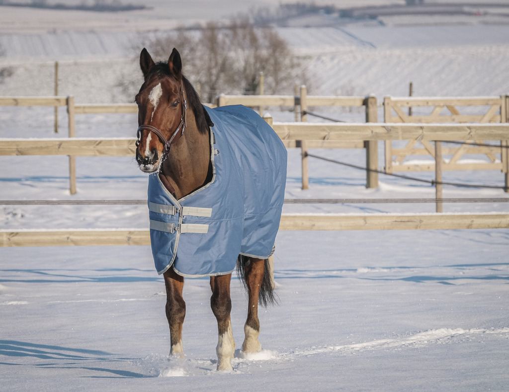 EQUITHEME 'TYREX 600D' Recycled Turnout Rug Navy 300 g - 3
