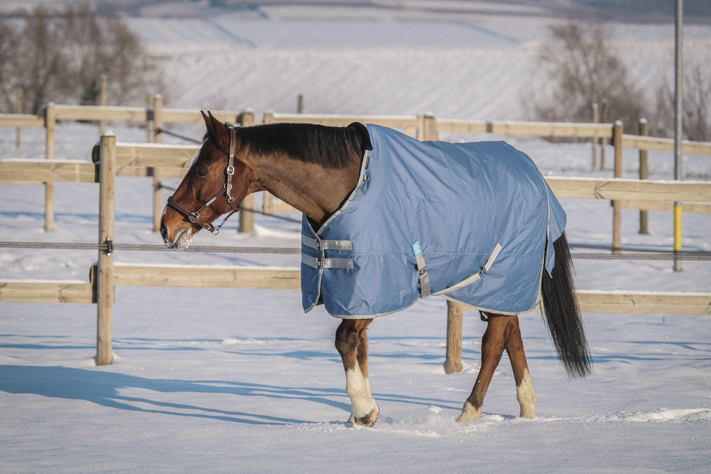 EQUITHEME 'TYREX 600D' Recycled Turnout Rug Navy 300 g - 4