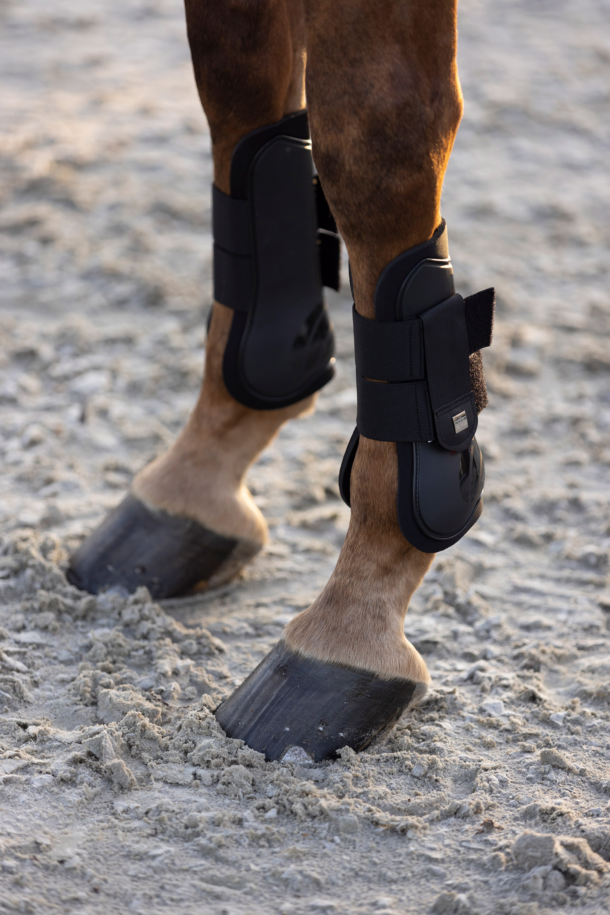 Imperial Riding Jännesuojat Lovely Black - 6