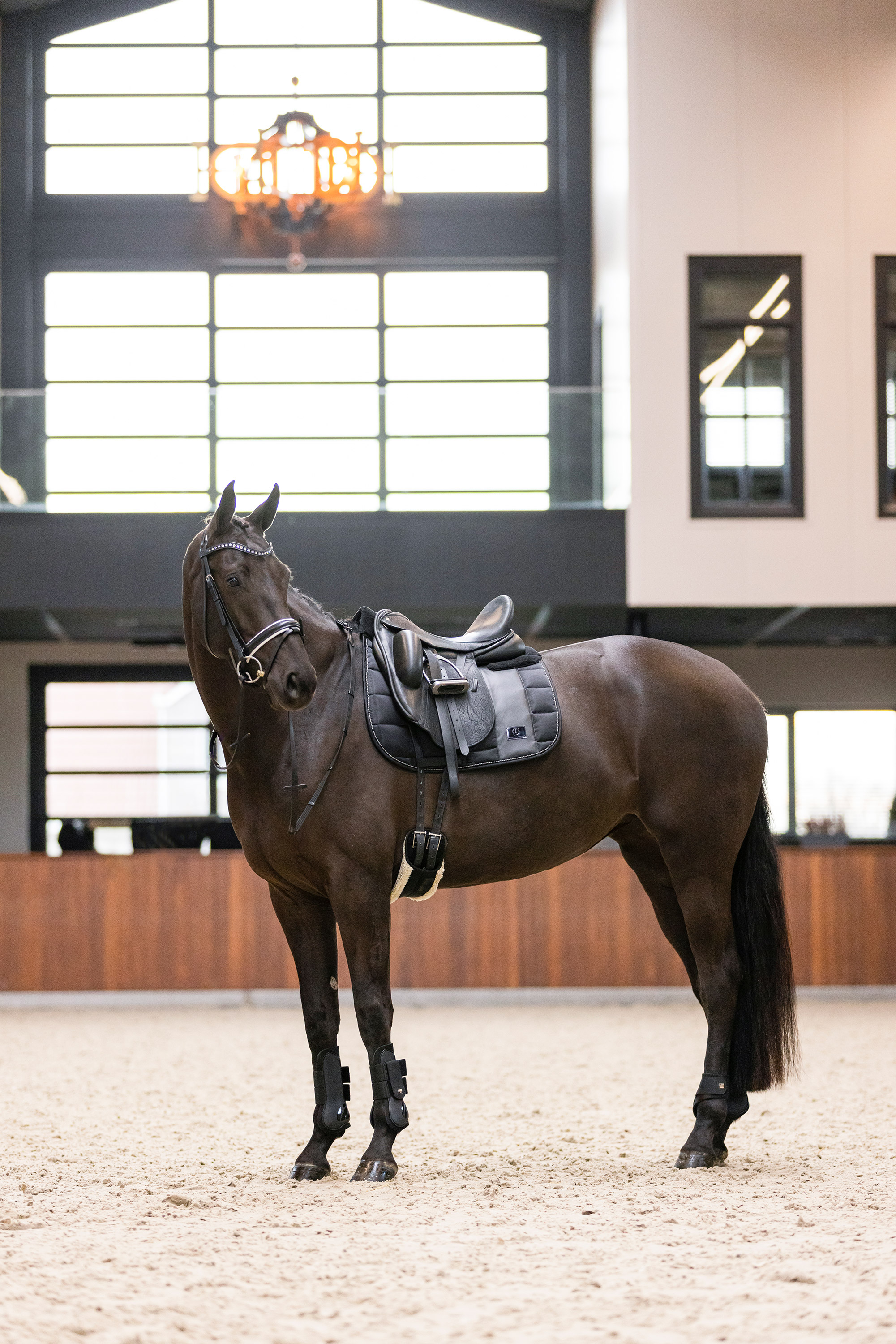 Imperial Riding Jännesuojat Lovely Black - 8