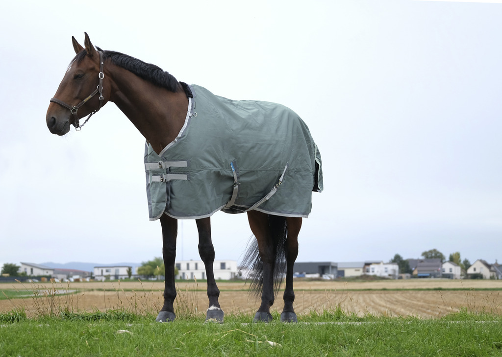 EQUITHEME 'TYREX 600D' Recycled Turnout Hästtäcke Grön 0 g (5'9 - 125 cm)