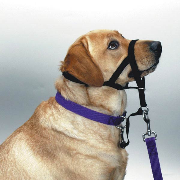 Halti Headcollars, Size 0 - 3
