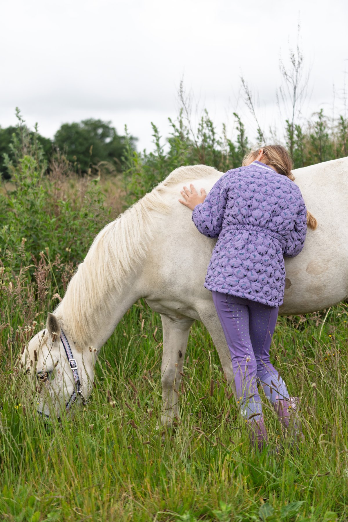 Equipage Alana riding jacket for kids Junior - Aster Purple - 8