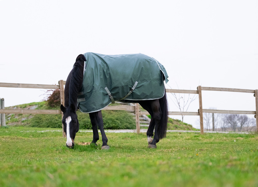 EQUITHEME 'TYREX 600D' Recycled Turnout Hästtäcke Grön 150 g (5'9 - 125 cm)